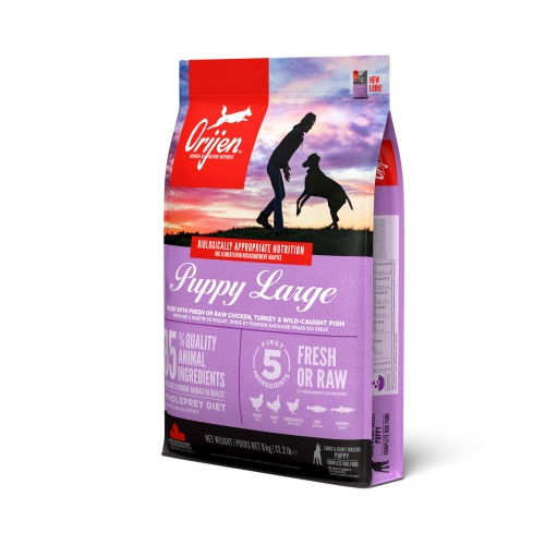 ORIJEN FOR DOGS PUPPY LARGE BREED 11,4 kg