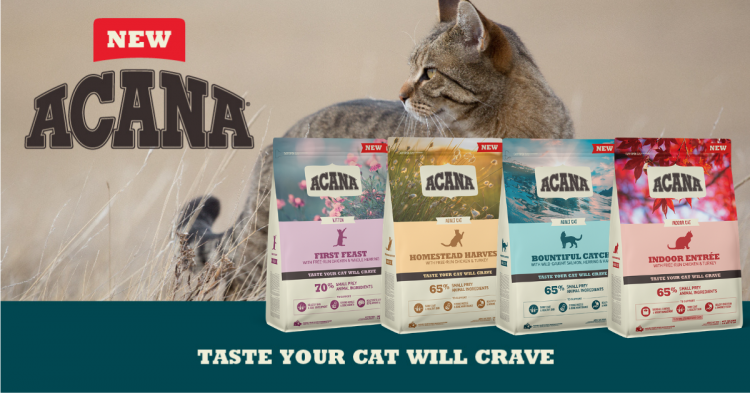 НОВЫЙ ВКУСЫ – ACANA ДЛЯ КОШЕК!